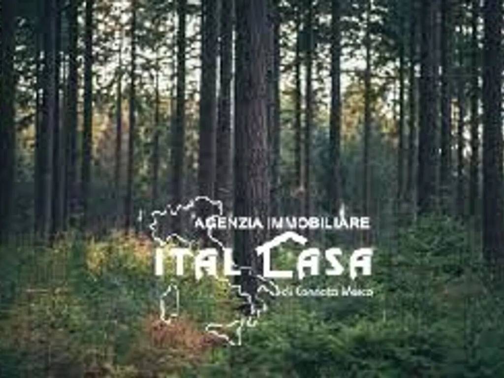terreno agricolo in vendita a Serravalle Pistoiese in zona Masotti
