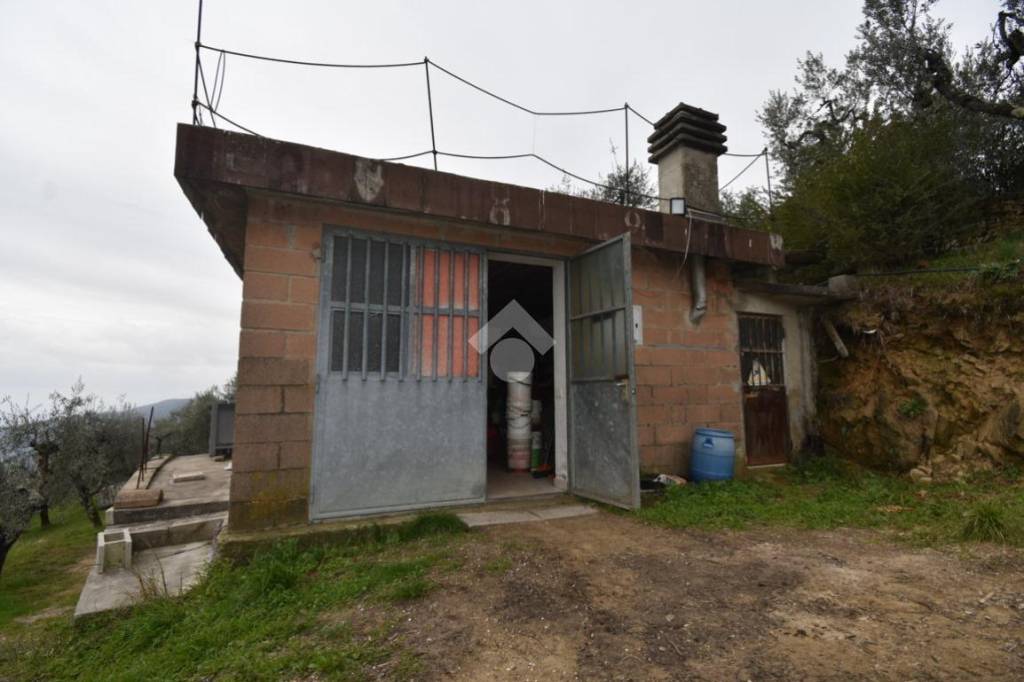 terreno agricolo in vendita a Serravalle Pistoiese in zona Castellina