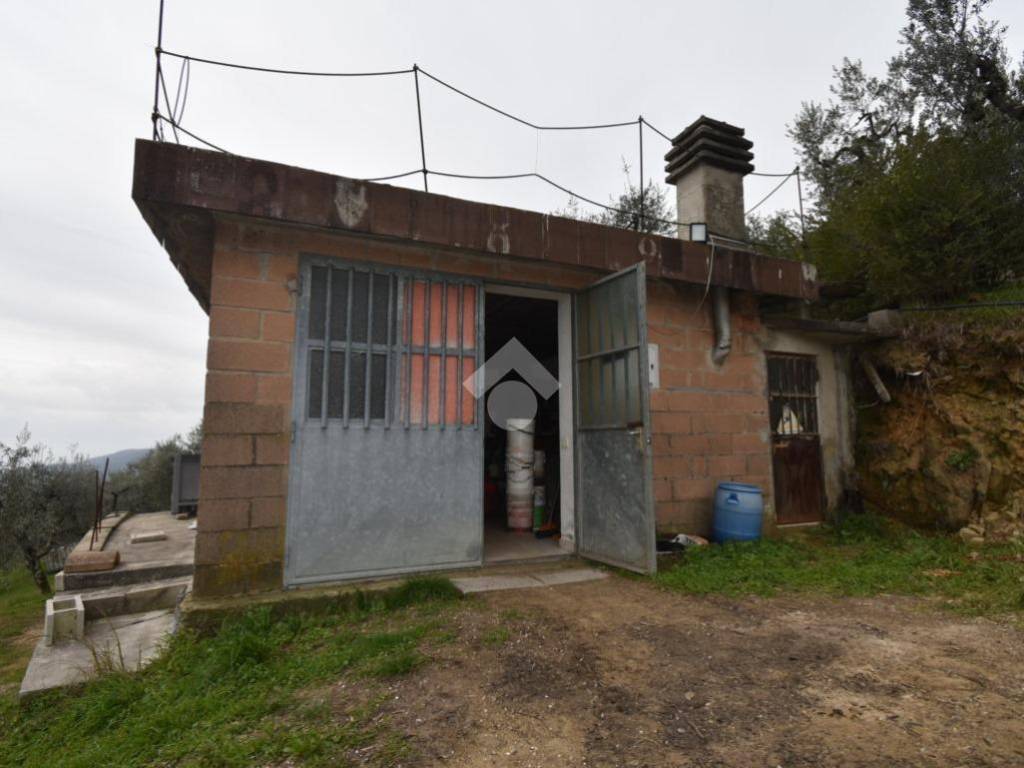terreno agricolo in vendita a Serravalle Pistoiese in zona Castellina