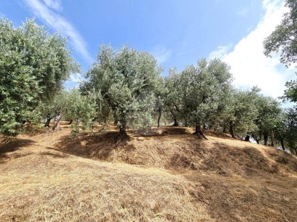 terreno agricolo in vendita a Serravalle Pistoiese in zona Baco