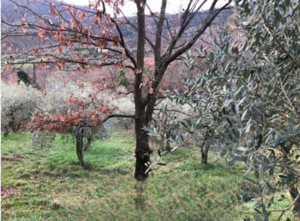 terreno edificabile in vendita a Serravalle Pistoiese in zona Casalguidi