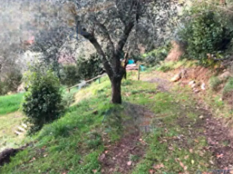 terreno edificabile in vendita a Serravalle Pistoiese in zona Casalguidi