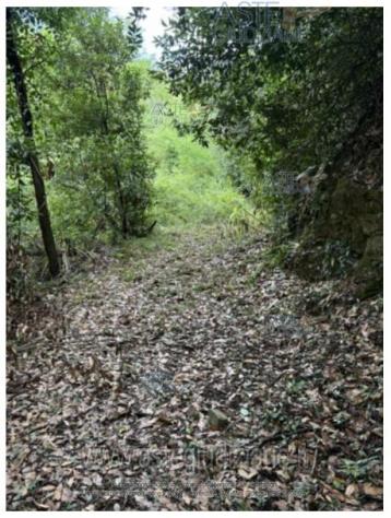 terreno agricolo in vendita a Serravalle Pistoiese
