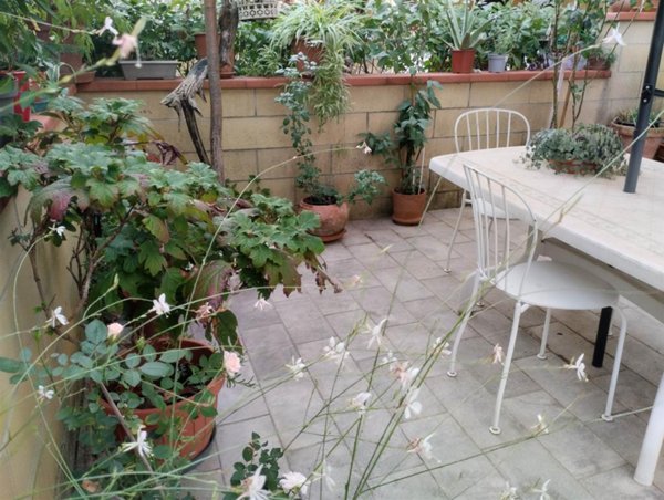 casa indipendente in vendita a Serravalle Pistoiese in zona Casalguidi