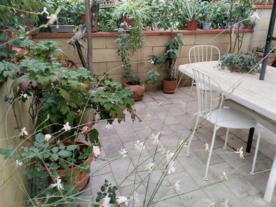 casa indipendente in vendita a Serravalle Pistoiese in zona Casalguidi