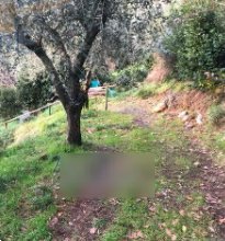 terreno agricolo in vendita a Serravalle Pistoiese