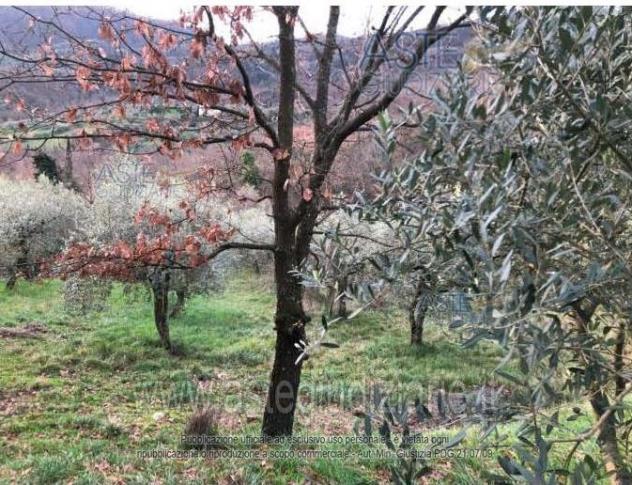 terreno agricolo in vendita a Serravalle Pistoiese