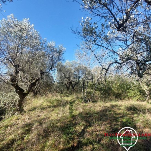 terreno agricolo in vendita a Serravalle Pistoiese in zona Baco