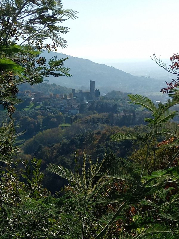 terreno agricolo in vendita a Serravalle Pistoiese in zona Castellina