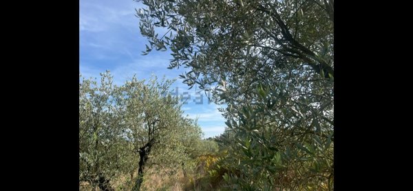 terreno edificabile in vendita a Serravalle Pistoiese