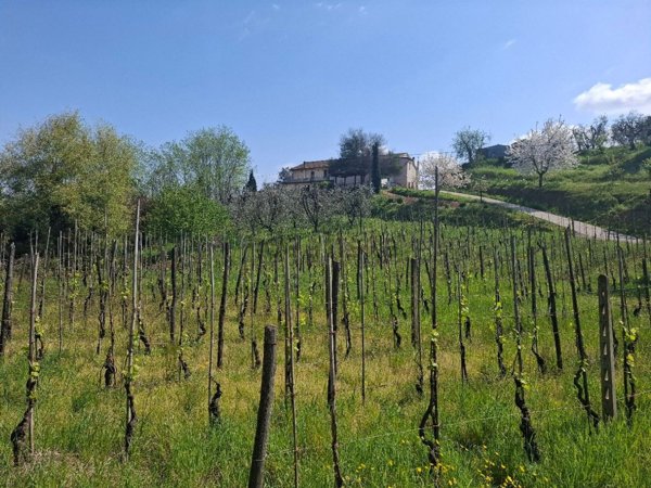 casa indipendente in vendita a Serravalle Pistoiese in zona Casalguidi