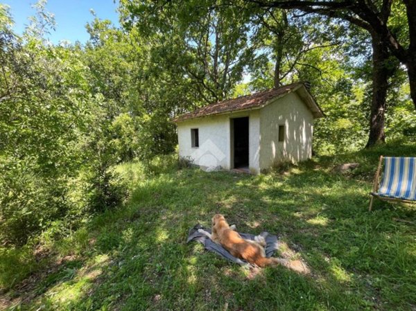 terreno agricolo in vendita a Serravalle Pistoiese