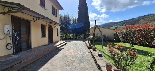 esavano in vendita a Serravalle Pistoiese in zona Casalguidi