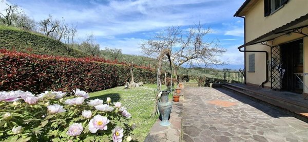 esavano in vendita a Serravalle Pistoiese in zona Casalguidi