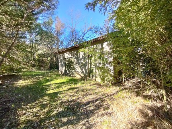 terreno agricolo in vendita a Serravalle Pistoiese in zona Cantagrillo