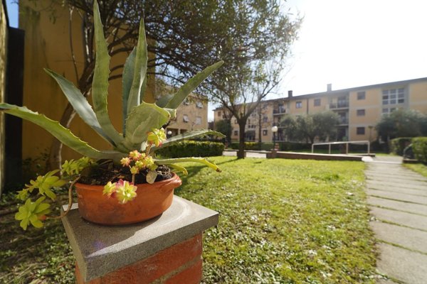 appartamento in vendita a Serravalle Pistoiese in zona Casalguidi