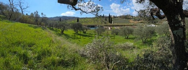 terreno agricolo in vendita a Serravalle Pistoiese