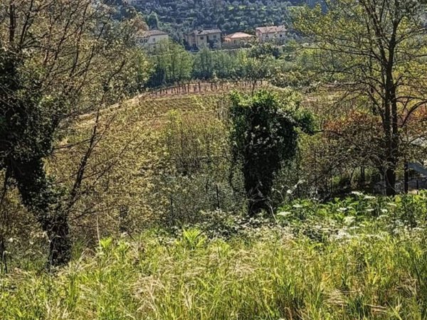terreno agricolo in vendita a Serravalle Pistoiese in zona Ponte di Serravalle