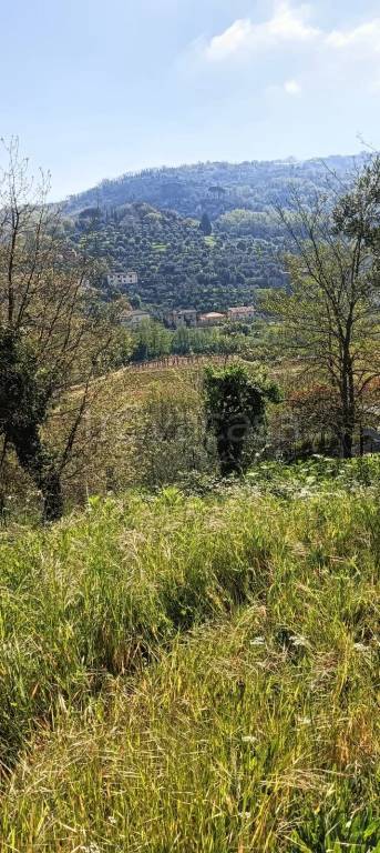 terreno agricolo in vendita a Serravalle Pistoiese in zona Ponte di Serravalle