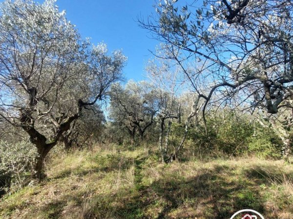 terreno agricolo in vendita a Serravalle Pistoiese in zona Cantagrillo
