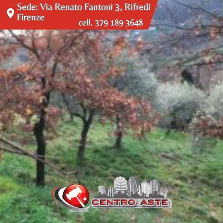 casa indipendente in vendita a Serravalle Pistoiese in zona Casalguidi
