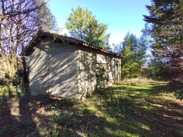 terreno agricolo in vendita a Serravalle Pistoiese