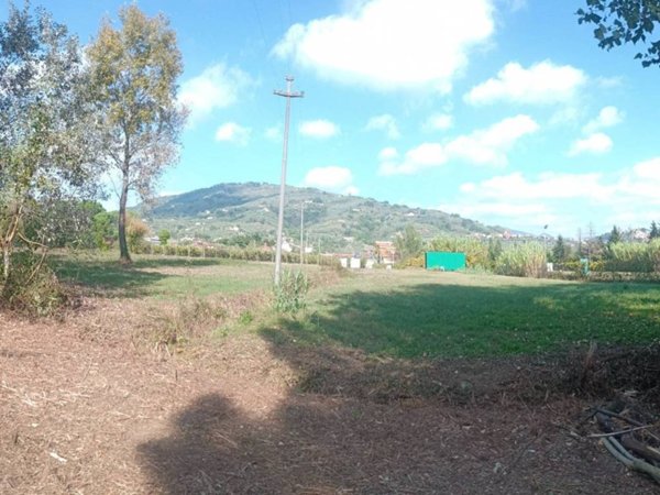 terreno agricolo in vendita ad Uzzano in zona Torricchio