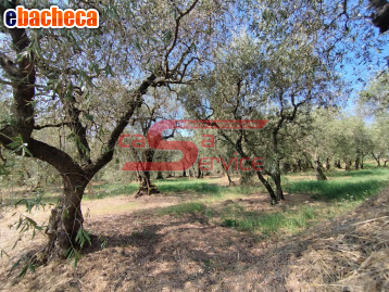 villa in vendita ad Uzzano in zona Santa Lucia