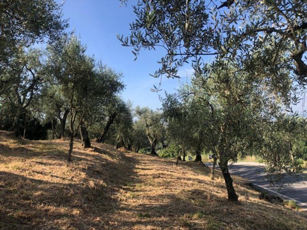 terreno agricolo in vendita ad Uzzano in zona Santa Lucia