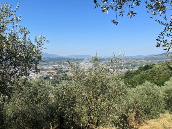 terreno agricolo in vendita ad Uzzano