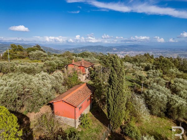 esavano in vendita ad Uzzano