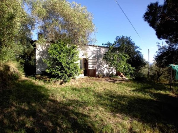 casa indipendente in vendita ad Uzzano in zona Santa Lucia
