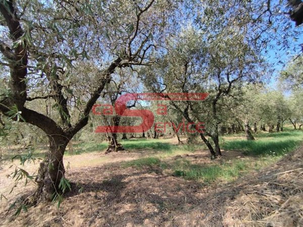 villa in vendita ad Uzzano in zona Santa Lucia
