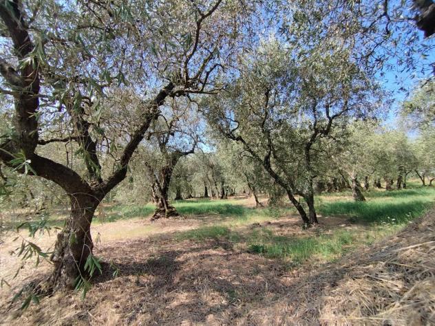 villa in vendita ad Uzzano in zona Santa Lucia