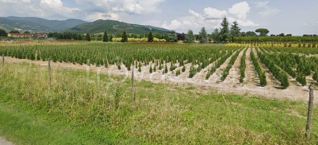 terreno agricolo in vendita ad Uzzano in zona Fornaci