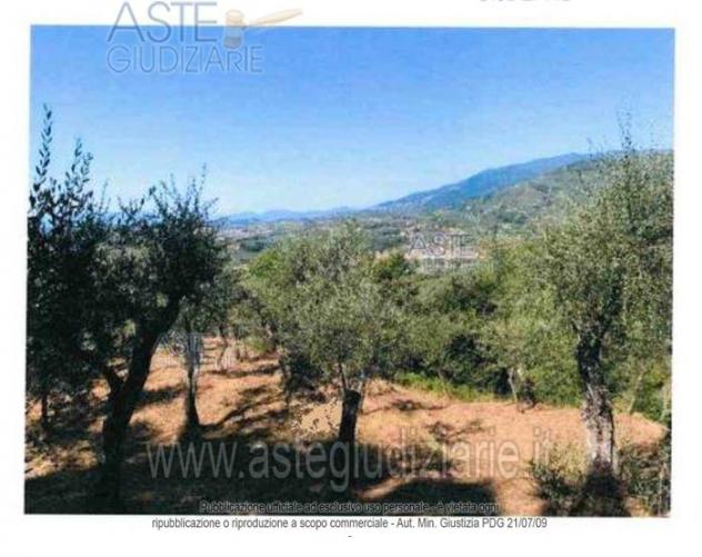 terreno agricolo in vendita ad Uzzano