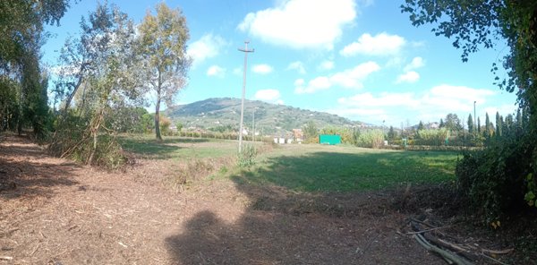 terreno agricolo in vendita ad Uzzano in zona Torricchio
