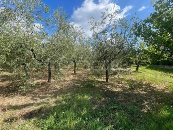 terreno agricolo in vendita ad Uzzano in zona Fornaci