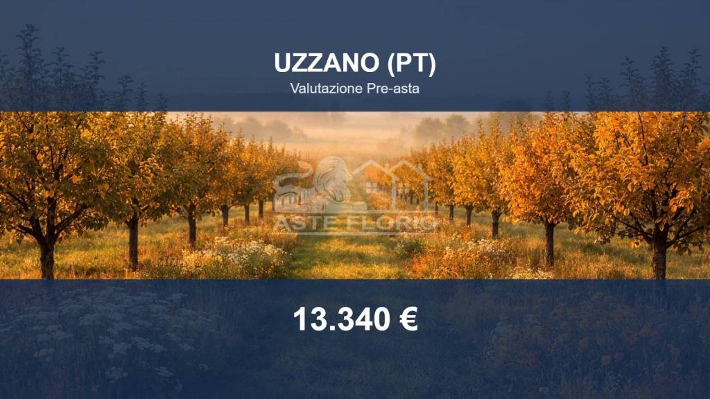 terreno agricolo in vendita ad Uzzano in zona Forone
