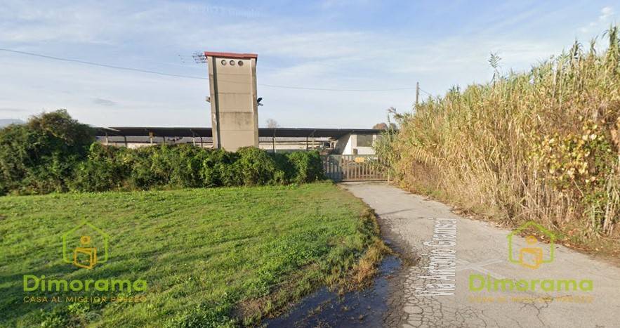 terreno agricolo in vendita a Chiesina Uzzanese