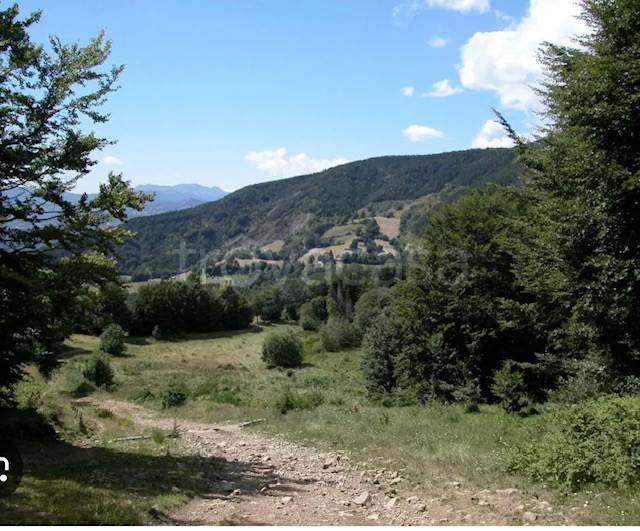 terreno agricolo in vendita ad Abetone Cutigliano