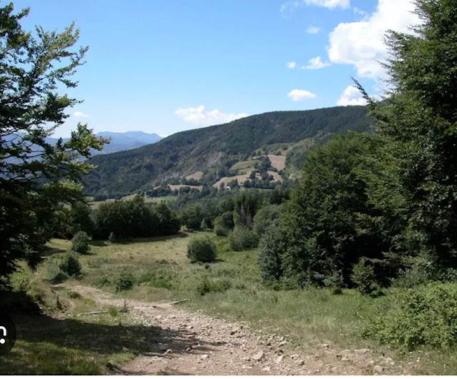 terreno agricolo in vendita ad Abetone Cutigliano in zona Cutigliano