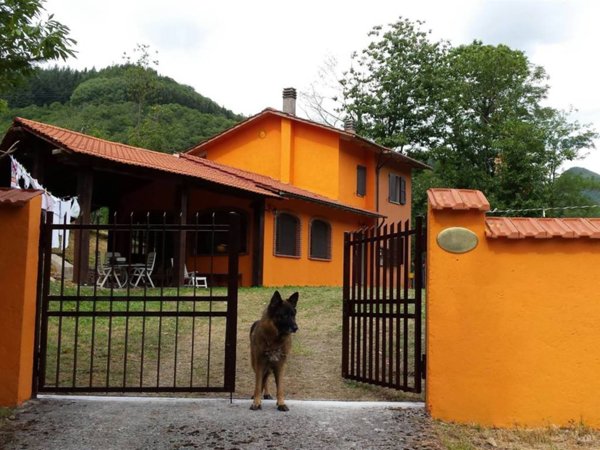 casa indipendente in vendita ad Abetone Cutigliano in zona Cutigliano