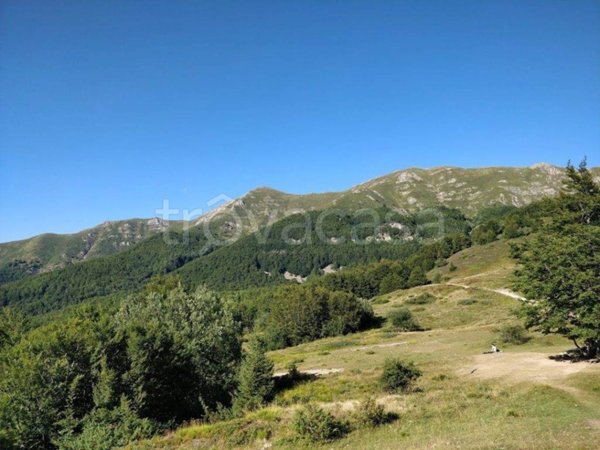 terreno agricolo in vendita ad Abetone Cutigliano in zona Cutigliano