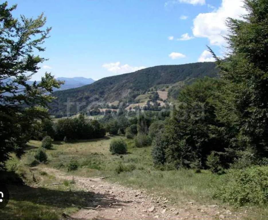 terreno agricolo in vendita ad Abetone Cutigliano in zona Cutigliano