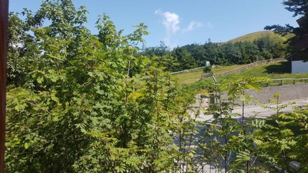 appartamento in vendita ad Abetone Cutigliano in zona Doganaccia