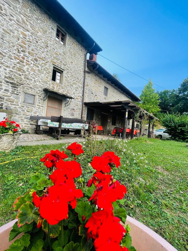 negozio in vendita a San Marcello Piteglio in zona Piteglio