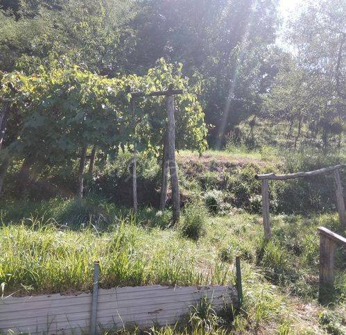 appartamento in vendita a San Marcello Piteglio in zona Mammiano