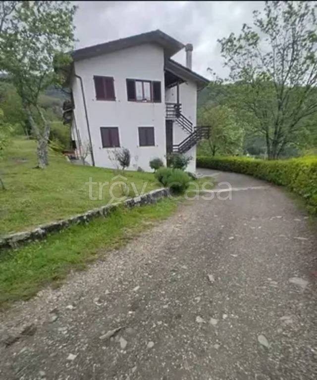immagine annuncio 0 di 11