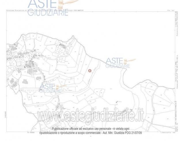 terreno agricolo in vendita a San Marcello Piteglio